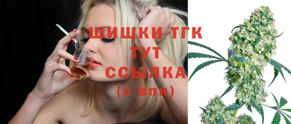 мет Дмитриев