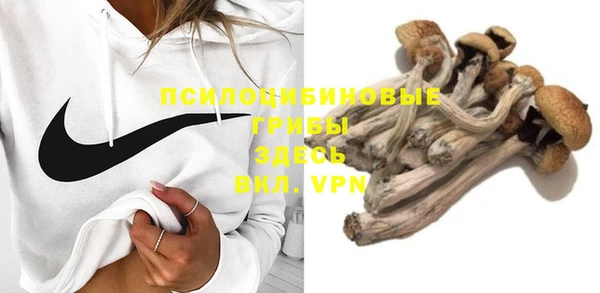 шишки Баксан