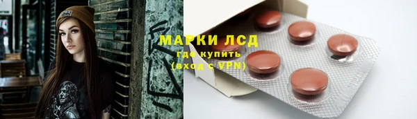 шишки Баксан