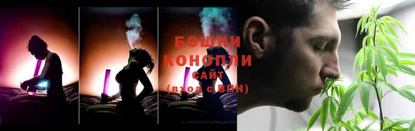 шишки Баксан