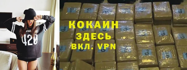 шишки Баксан
