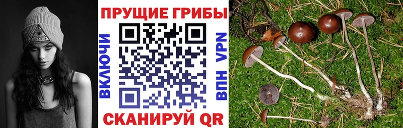 ОМГ ОМГ tor  Верхний Уфалей  Галлюциногенные грибы мицелий 